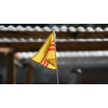co-vietnam-nho