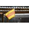 co-vietnam-nho2